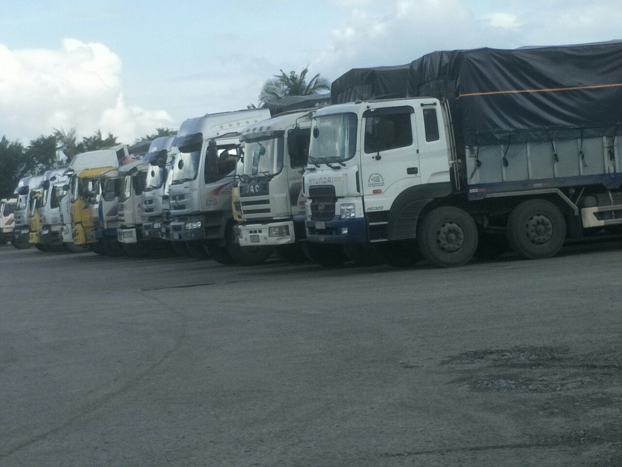 Dịch vụ vận chuyển của công ty National Logistics JSC như thế nào ?